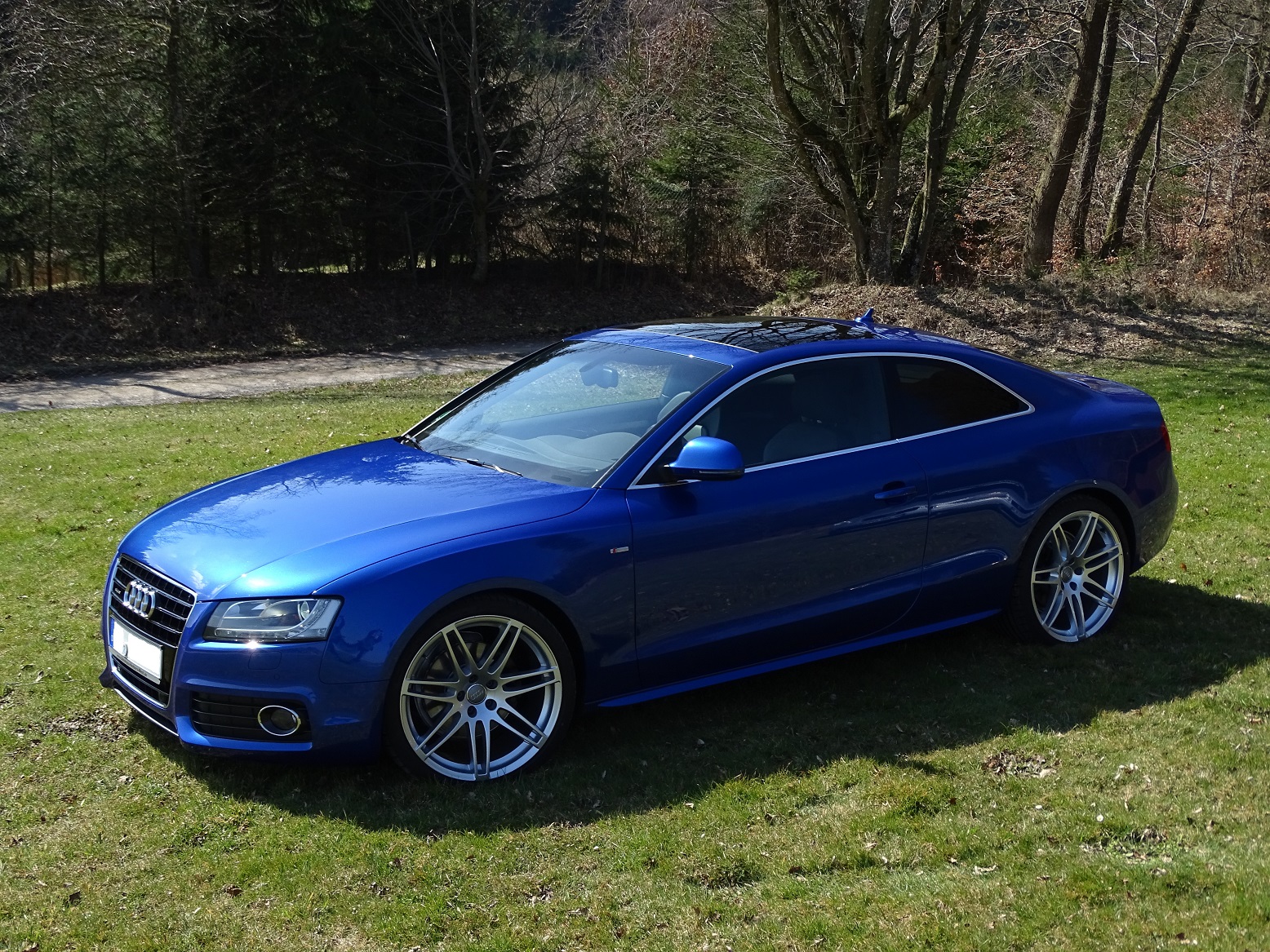 A5 Coupé 3.0 TDI