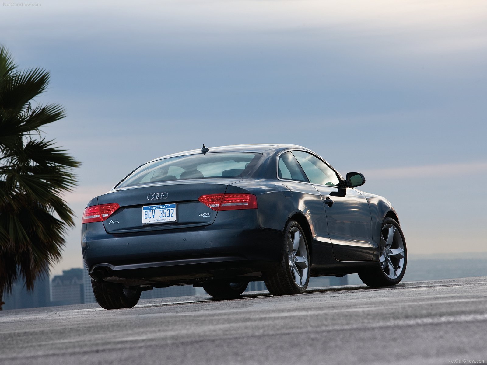 Audi A5 Coupe (B8) 2008